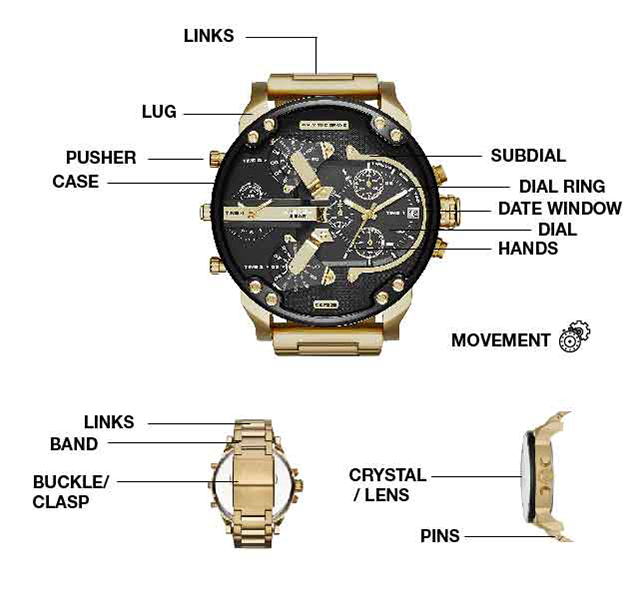 Watch Anatomy, Identify Watch Parts